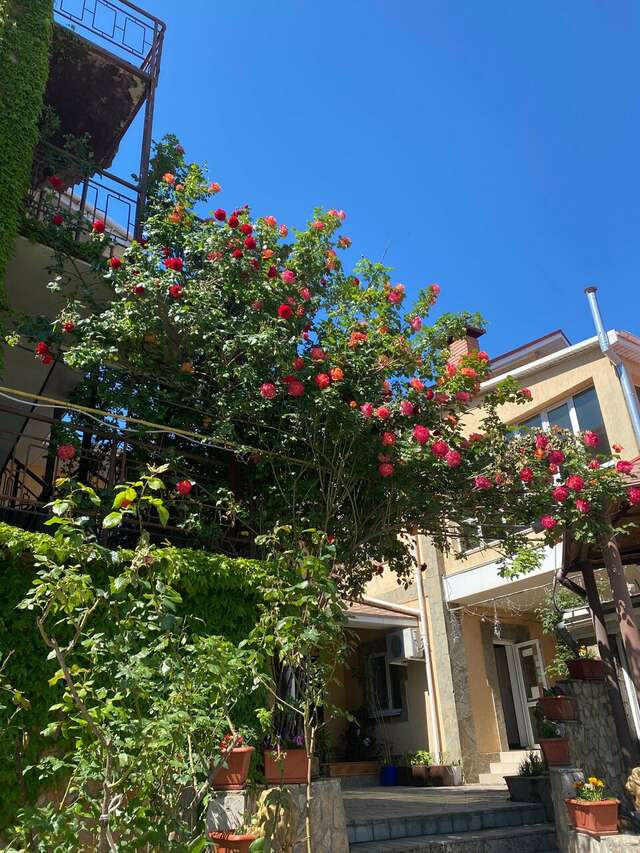 Гостиница Крепость Кафа Феодосия-170