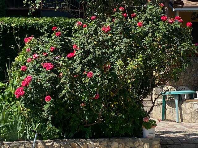 Гостиница Крепость Кафа Феодосия-86