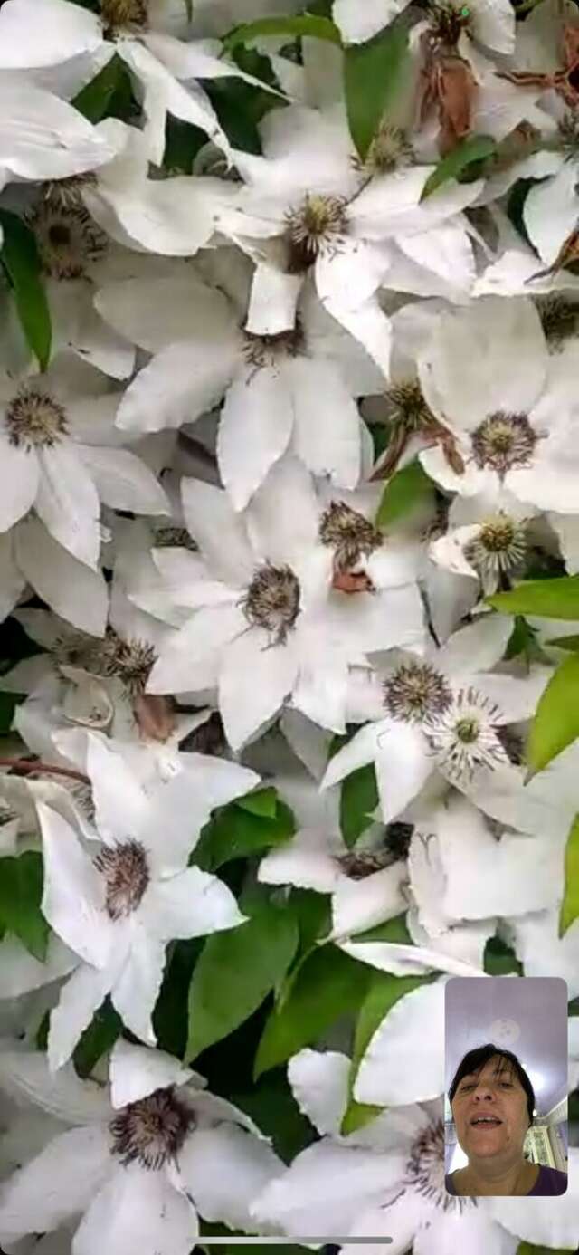 Гостиница Крепость Кафа Феодосия-43