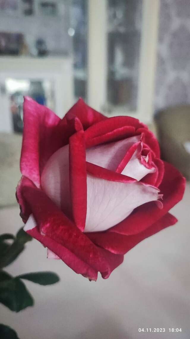 Гостиница Крепость Кафа Феодосия-83