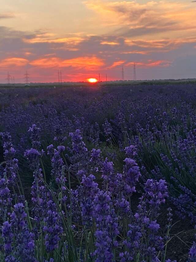 Гостиница Крепость Кафа Феодосия-48