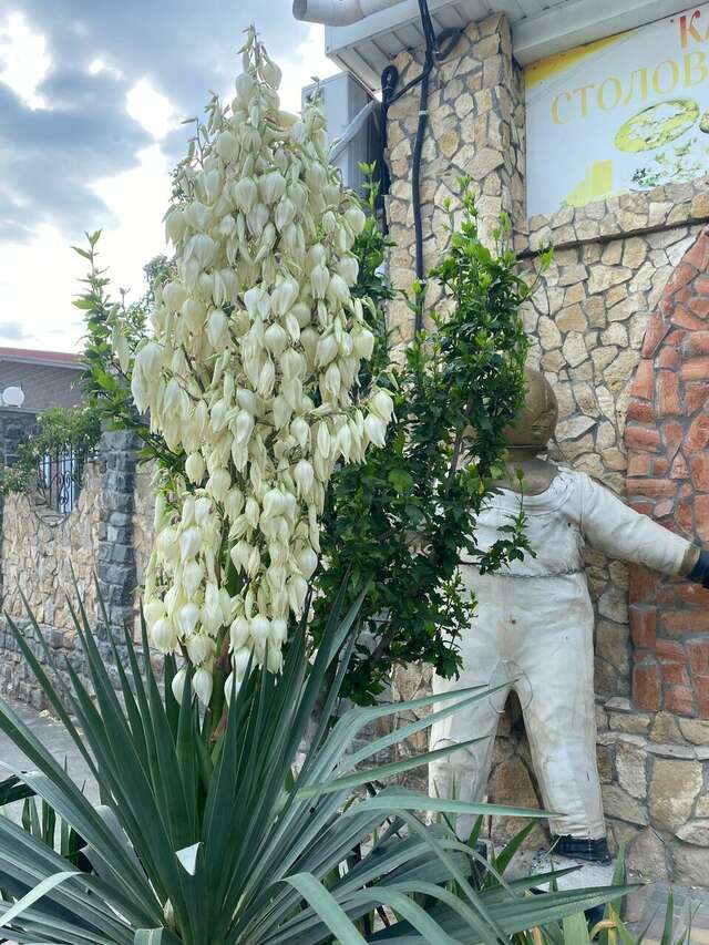 Гостиница Крепость Кафа Феодосия-57