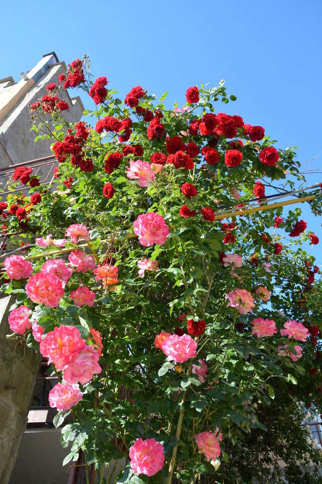 Гостиница Крепость Кафа Феодосия-35