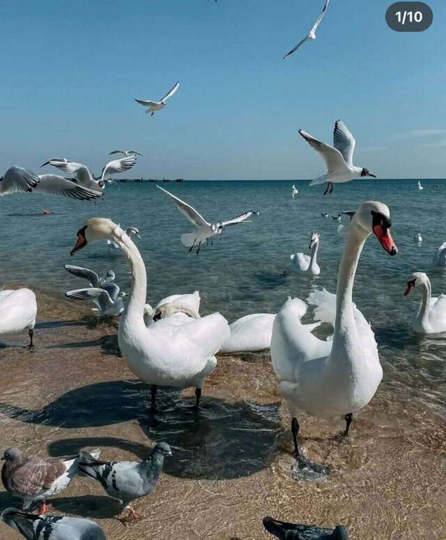 Гостиница Крепость Кафа Феодосия-22